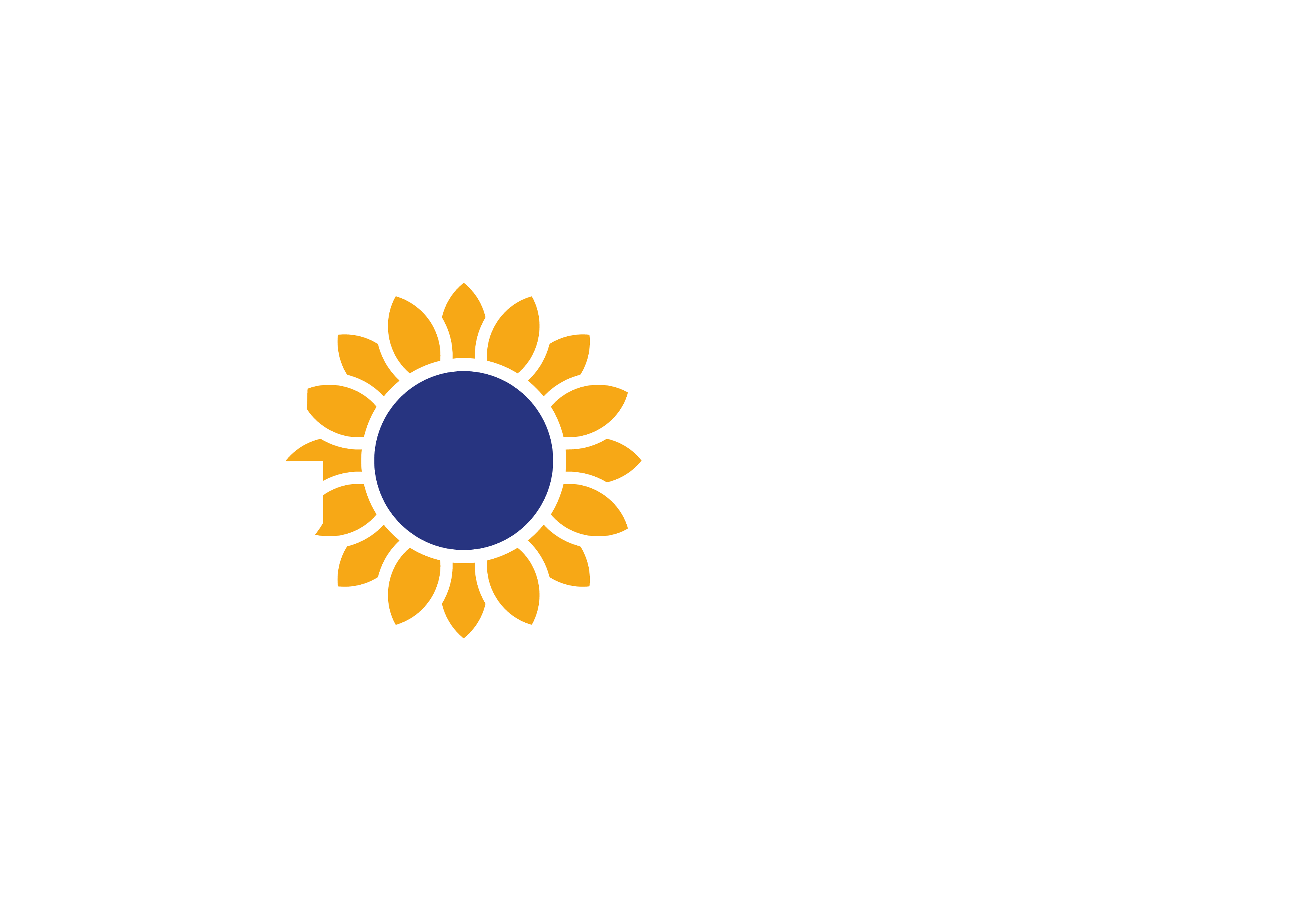 TWÓRCZE BRZÓZKI