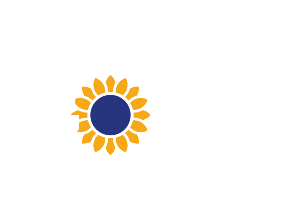 VAN GOGH FESTIVAL PROJECT